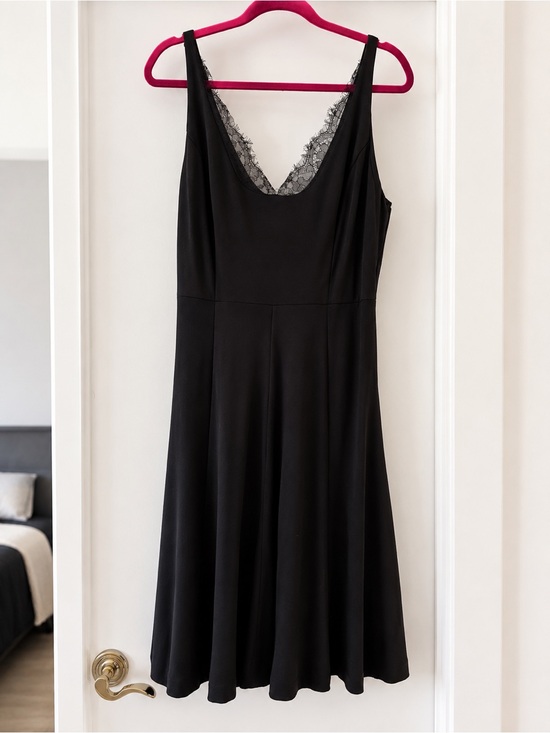Altuzarra For Target Dresses & Skirts - Altuzarra for Target Black Lace-Trim A-Line Dress Sz 10